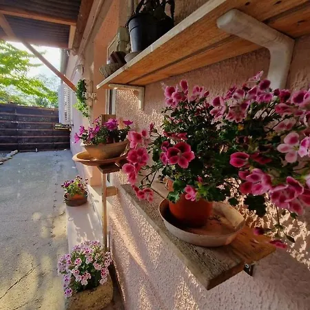 Feriehus La Casetta Di Flo Montecosaro (Marche)