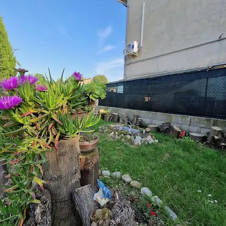 La Casetta Di Flo 別荘 *