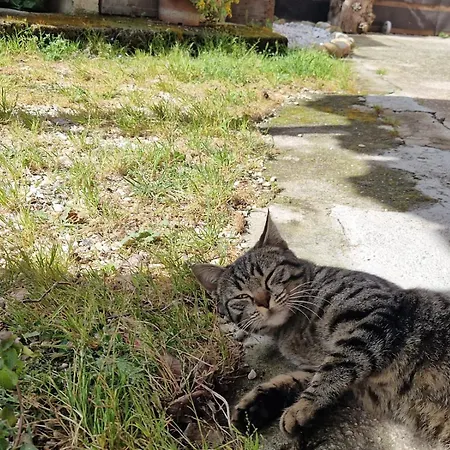 La Casetta Di Flo 別荘