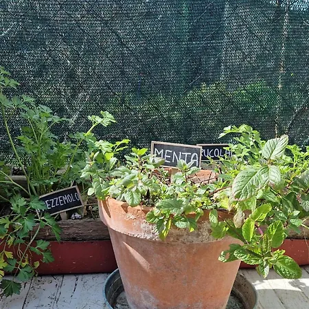 La Casetta Di Flo Montecosaro