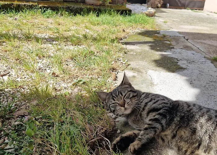 La Casetta Di Flo Σπίτι διακοπών