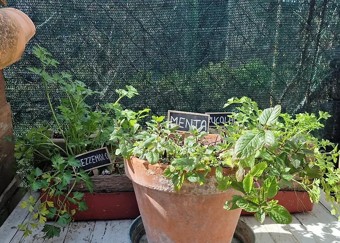 La Casetta Di Flo Montecosaro (Marche)